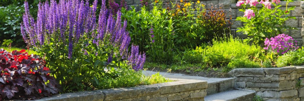 Landscaping and Property Maintenance in Baton Rouge, LA