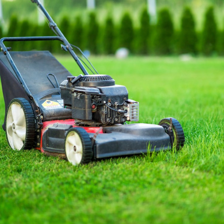 Landscaping and Property Maintenance in Baton Rouge, LA Landscaping and Property Maintenance in Baton Rouge, LA